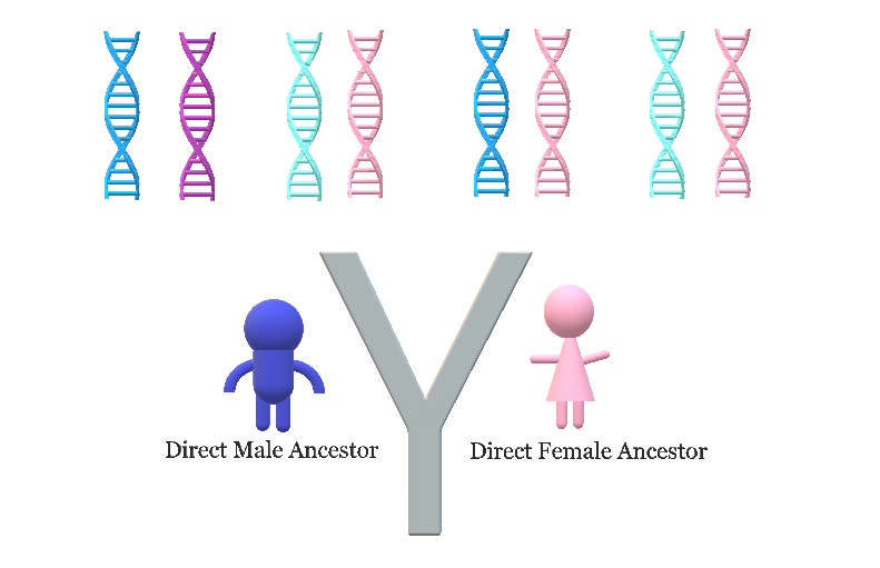 Why Don't I Recognize My DNA Matches? - Welcome To DNA Enthusiast